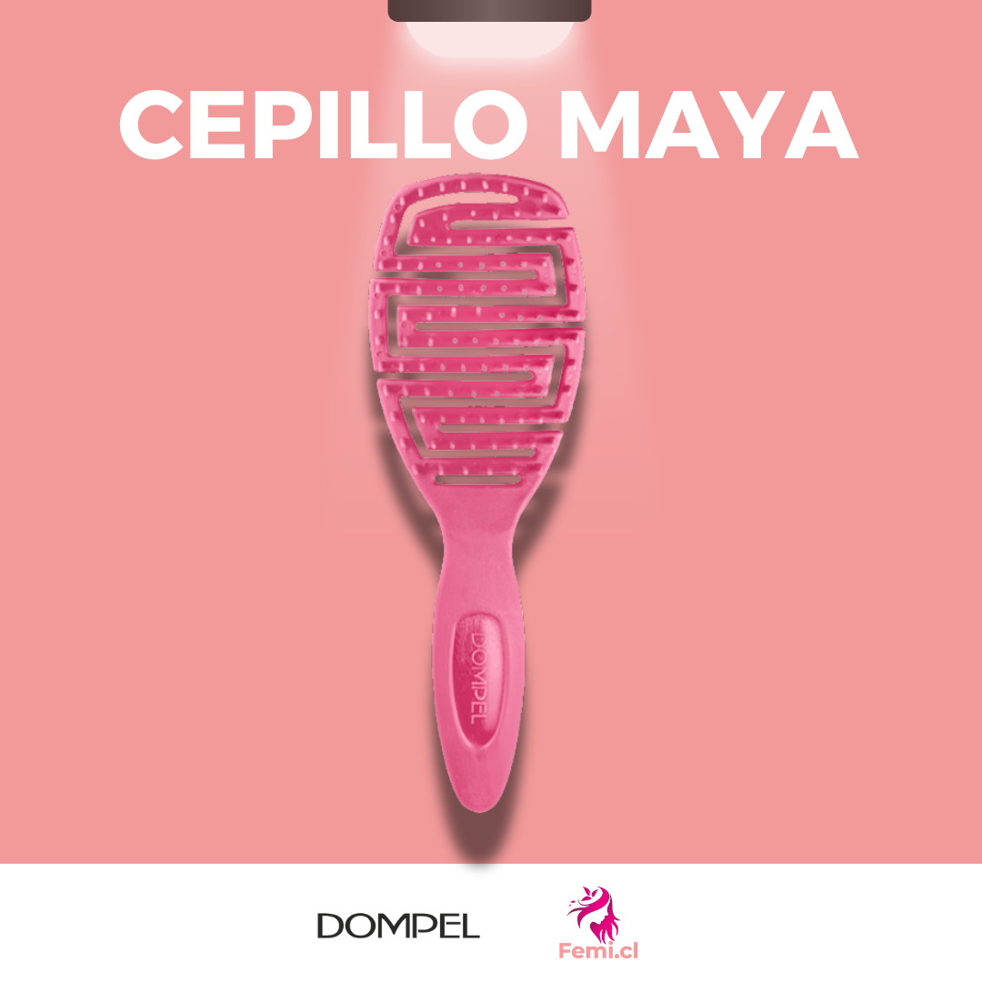 Cepillo Maya (unidad)